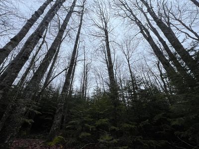 00 Pleasant Street, Blue Hill, ME, 04614