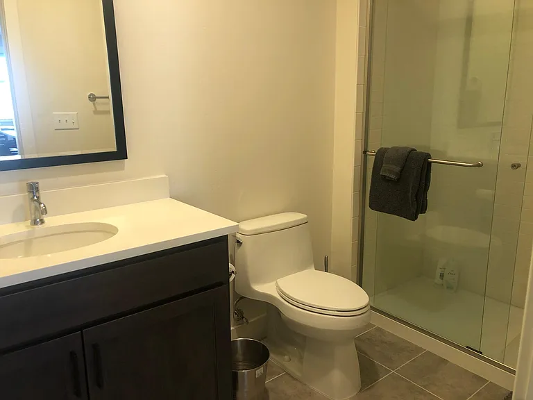 Guest bathroom