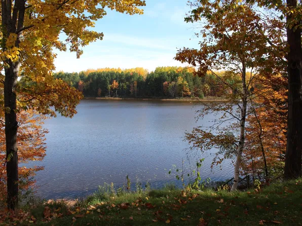 6690 Swamsauger Heights Rd, Tripoli, WI 54564