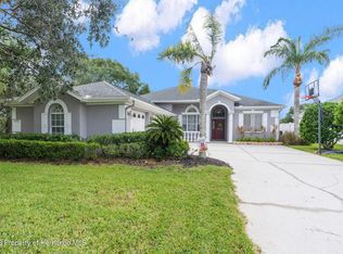 23222 Emerson Way, Land O Lakes, FL 34639
