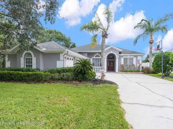 23222 Emerson Way, Land O Lakes, FL 34639