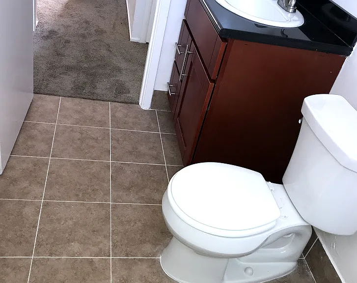 Bathroom floor tile and hallway carpet
