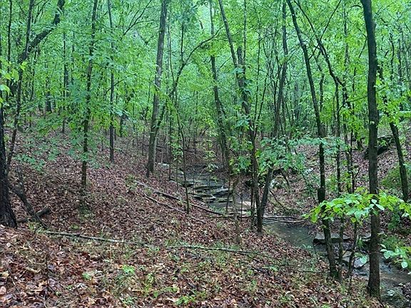 5th image of 145/ACRE S George Smith Rd