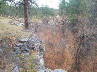 13073 Lincoln Tarken Ln, Piedmont, SD 57769