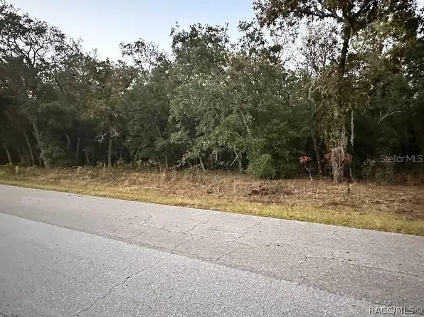 861 W Olympia St, Hernando, FL 34442