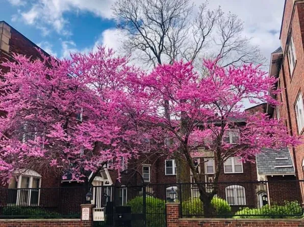 Jones Ansonia Apartments