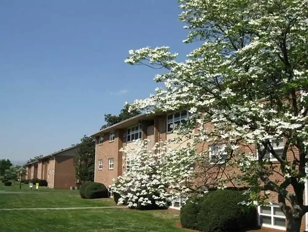 Park Towne Apartments — Photo 2