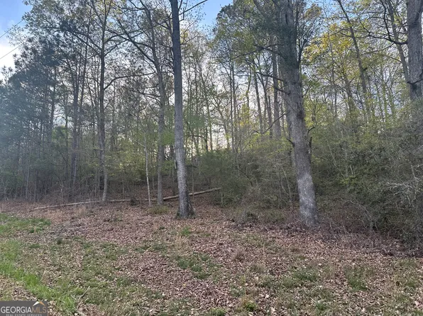 1141 Skipstone Dr, Watkinsville, GA 30677