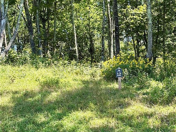 2nd image of TBD High Forest Drive
