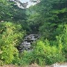 LOT 1A Bowen Rd, Randolph, NY, 14772