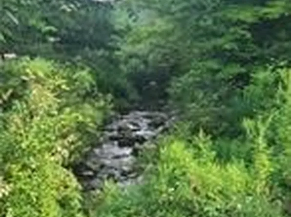 LOT 1A Bowen Rd, Randolph, NY 14772