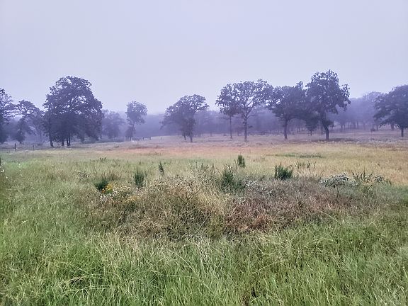 2nd image of 6355 County Road 434 Lot Wp001