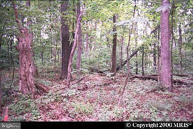 2nd image of Steamboat Run Rd