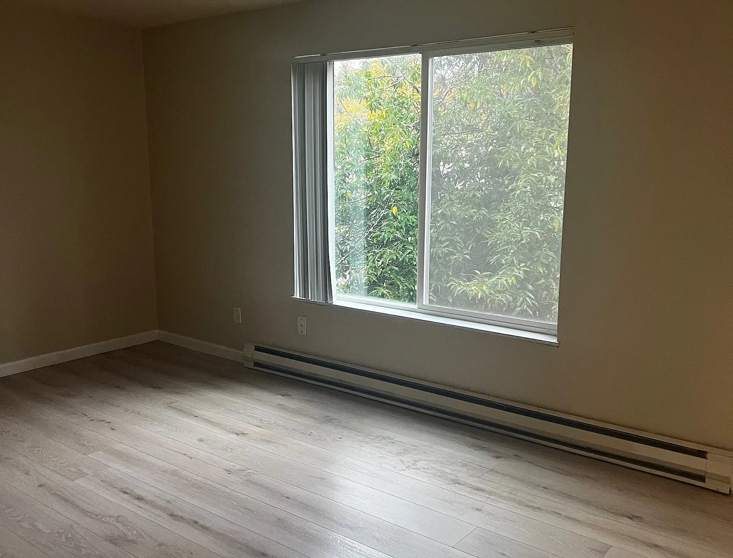 1 bed, 700 sqft, $1,200 — Photo 2