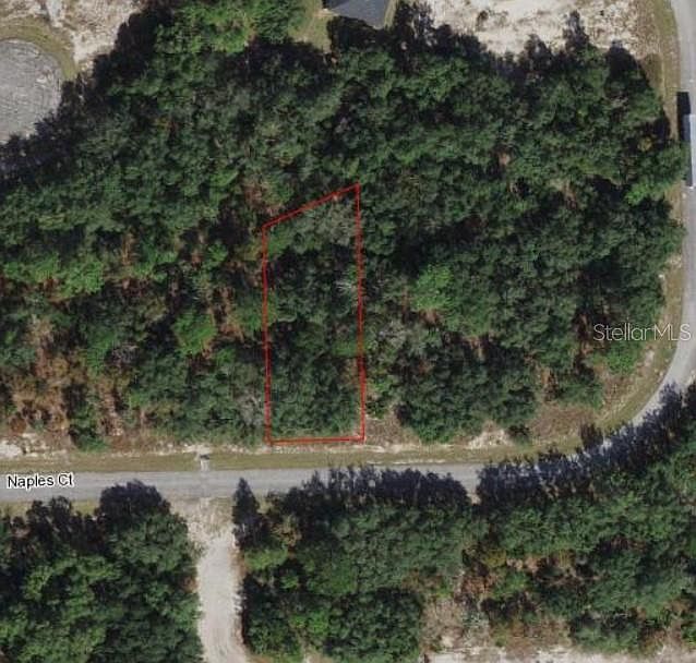 1st image of 436 Naples Ct