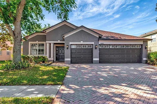 29822 Boyette Oaks Pl Photo 1