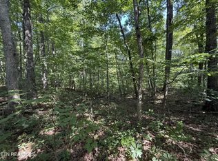 2 E Cove Rd LOT 2, Monterey, TN 38574