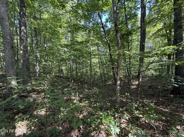 2 E Cove Rd Lot 2, Monterey, TN 38574