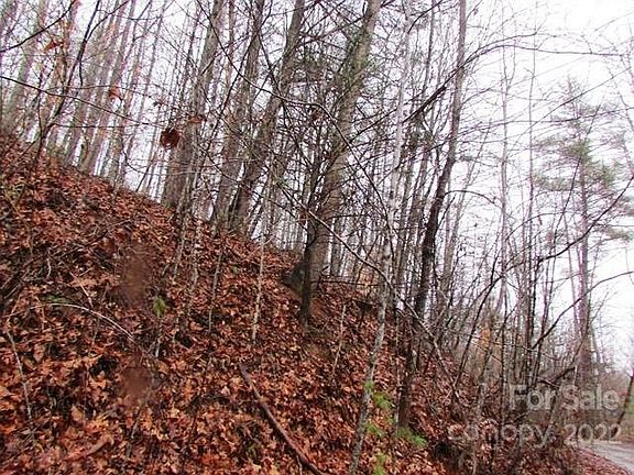 4th image of Pack Saddle Dr