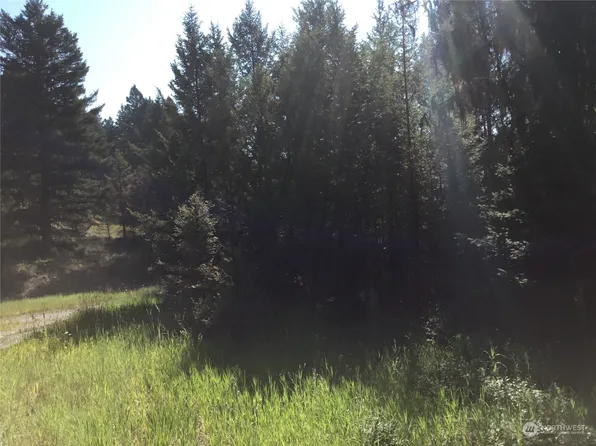 3 Trapline Loop Road, Oroville, WA 98844