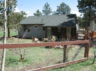 81 Mohawk Trl, Pine, CO 80470