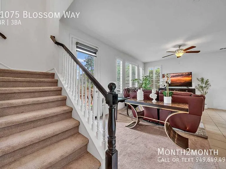 21075 Blossom Way — Photo 43