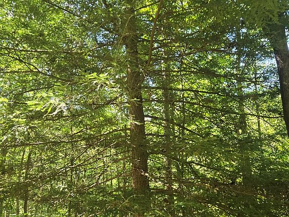 2nd image of 0 Rocky Fork Rd