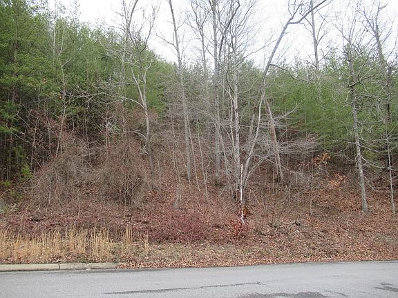 2nd image of 156 Bear Valley Rd