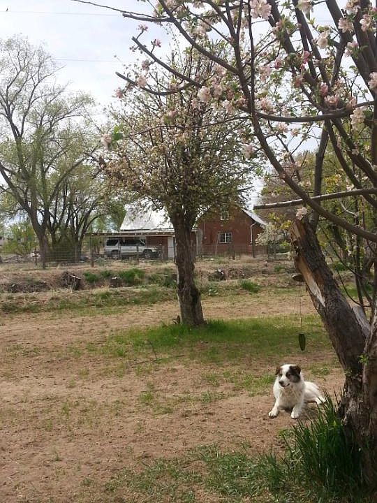 34 Private Dr 1040, Lyden, NM 87582 Zillow
