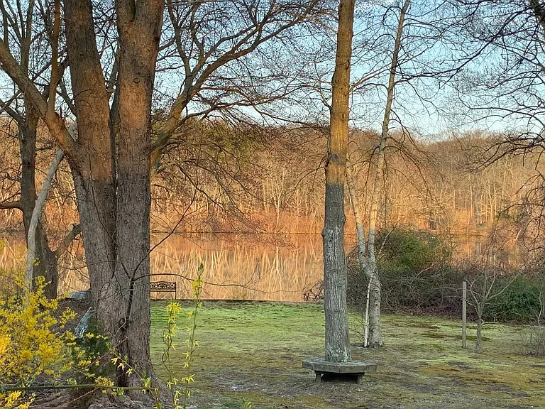Mill Pond Ln — Photo 13