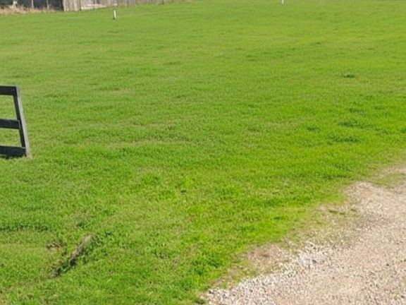 4th image of 12025 McFarlane Rd