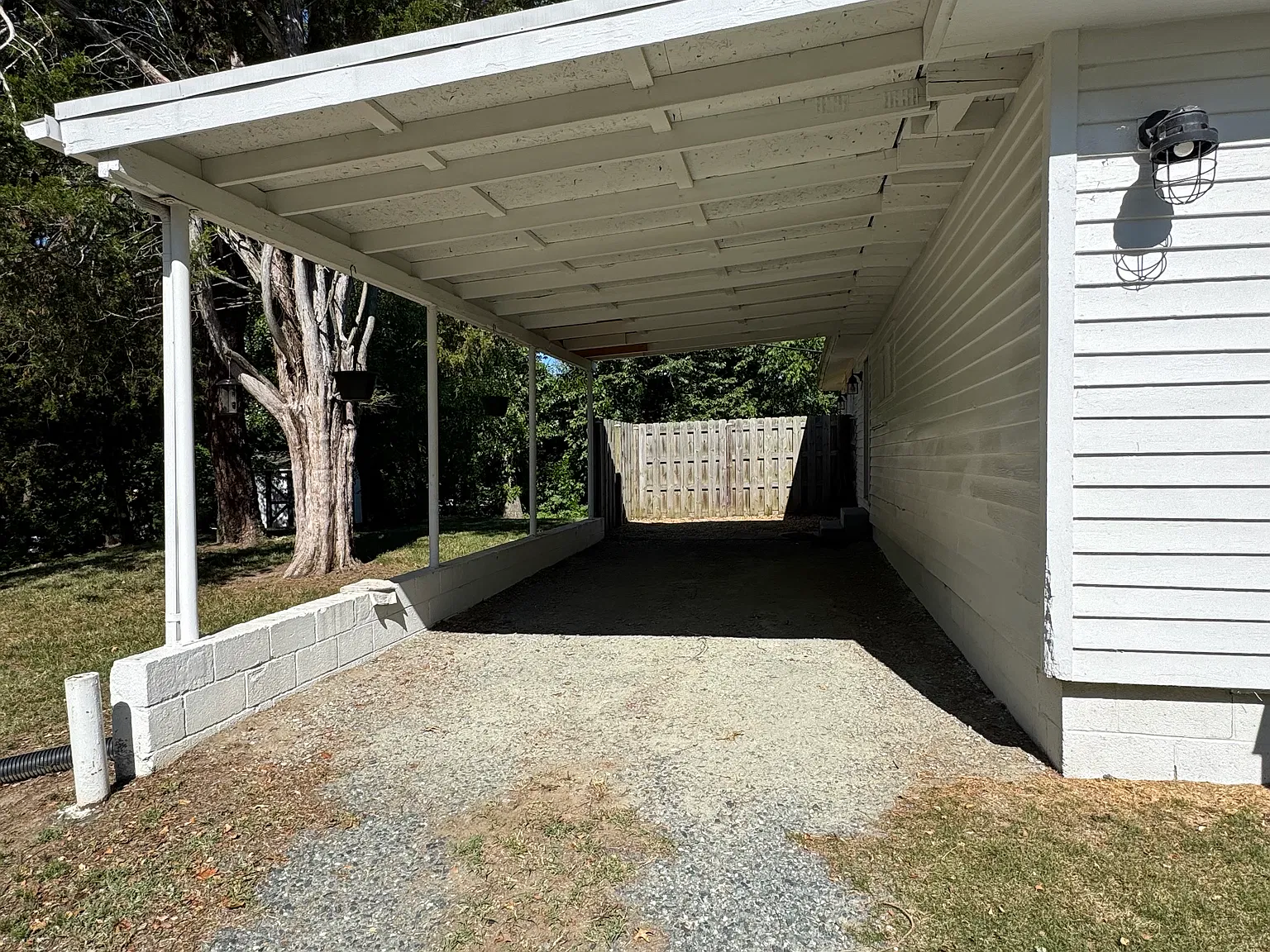 1 bed, 900 sqft, $1,295 — Photo 4