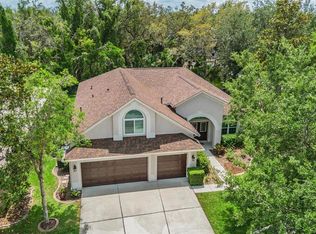 6038 Palomaglade Dr, Lithia, FL 33547