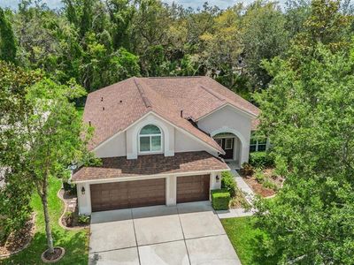 6038 Palomaglade Dr, Lithia, FL, 33547