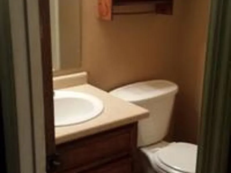 Hallway Bathroom