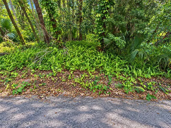 0 Olive St, Brooksville, FL 34601