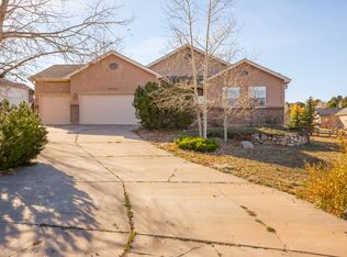 20255 True Vista Cir, Monument, CO 80132
