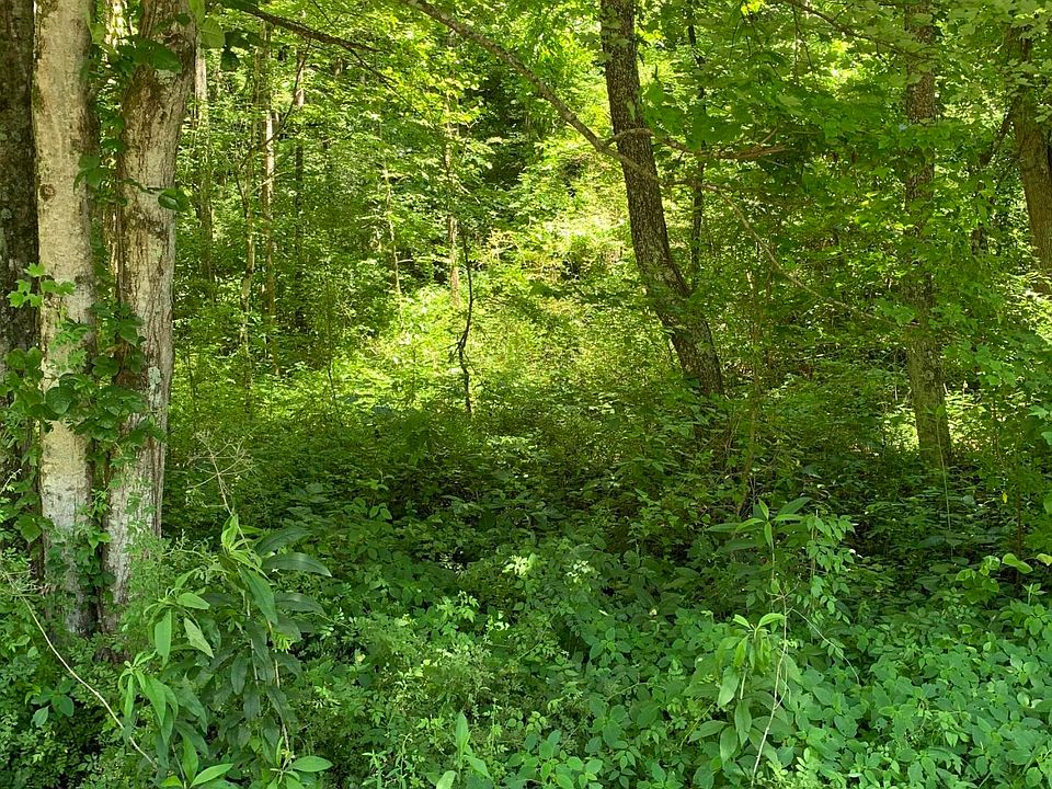 1st image of Old Lake City Hwy
