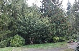 2nd image of 414 Hillcrest Dr SE