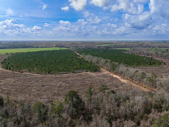 5th image of 0 Chipola Rd