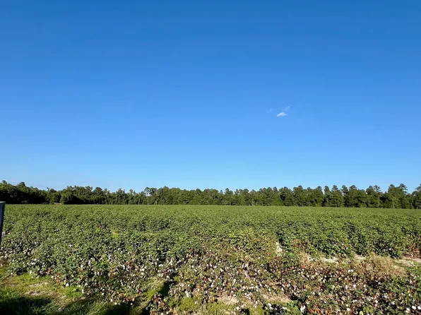 LOT 2 Highway 15 S, Saint George, SC 29477