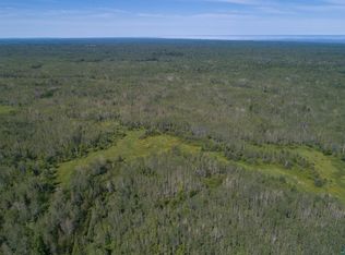 799XX Tar Paper Aly, Pt Wing, WI 54865