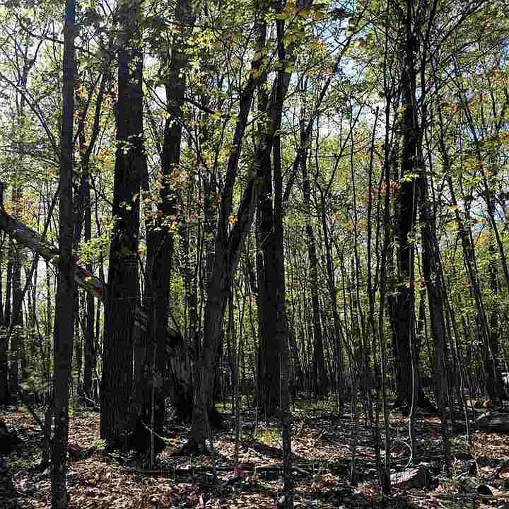 2nd image of 0 Seminole Trl