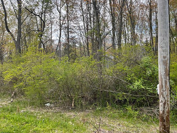 4th image of Lakeview Ave