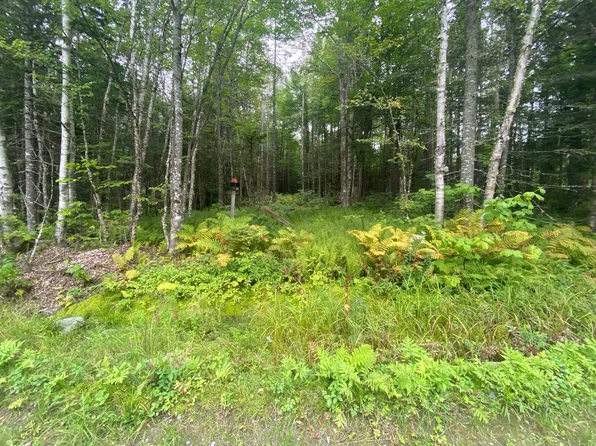 9-17 Oak Ridge Road, Shirley, ME 04485