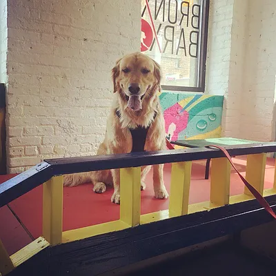 Rented by Citi Habitats | media 27