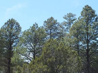 2045 Buckboard Ct, Overgaard, AZ 85933
