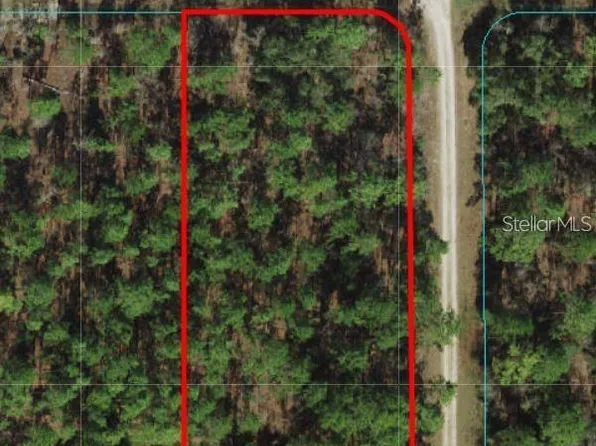TBD SW 78TH PLACE, DUNNELLON, FL 34432