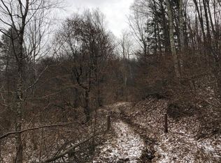 Big Run Rd, Valley head, WV 26294