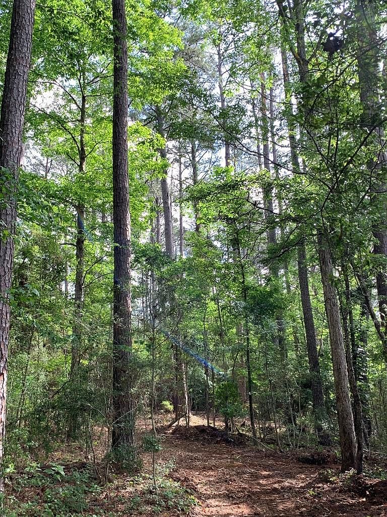 LOT 3 Chatawa Rd, Magnolia, MS 39652 MLS 141310 Zillow